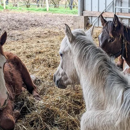 Дом отдыха Awesome In With Wifi *