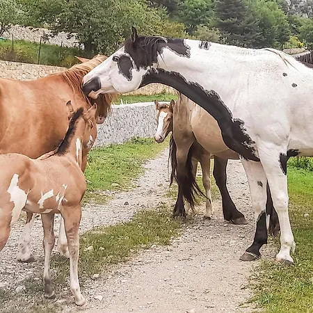 Awesome In With Wifi * Bellaffaire